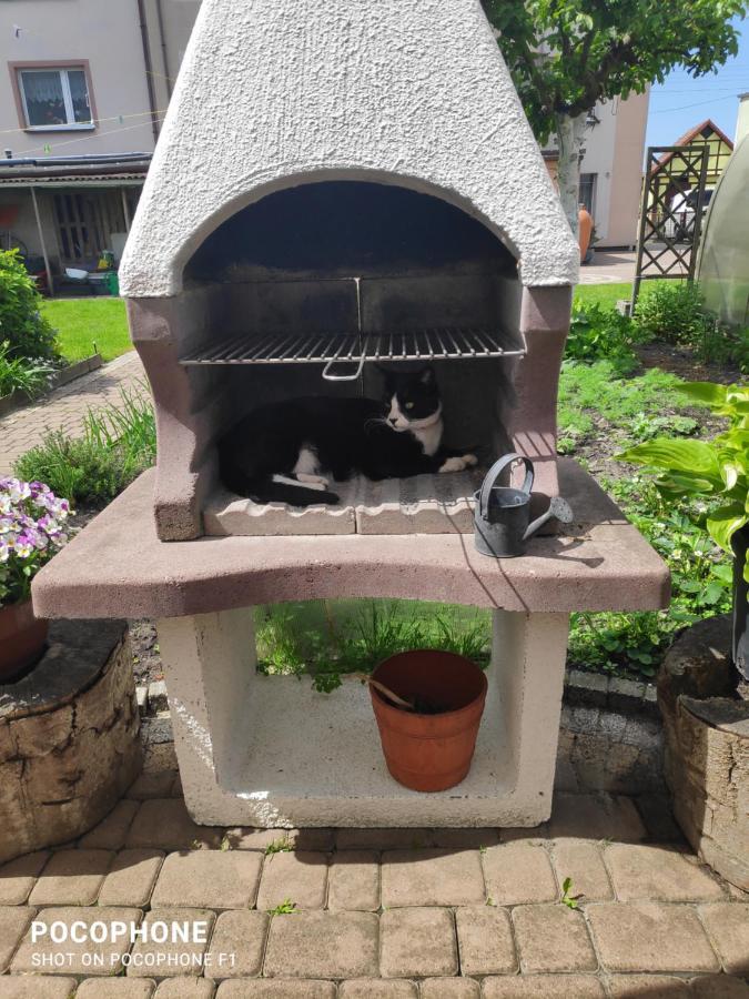 Pokoje Goscinne Moli Łeba Kültér fotó